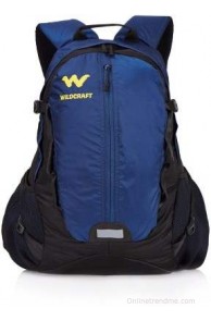 Wildcraft 15 inch Laptop Backpack(Blue)